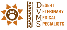 DVMS LOGO